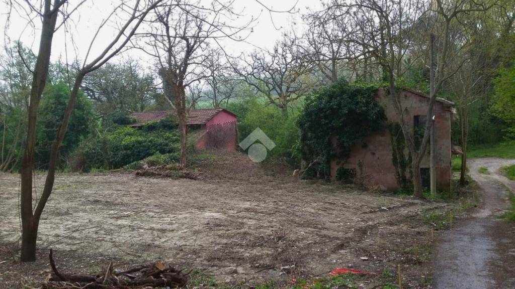 immagine annuncio 7 di 12