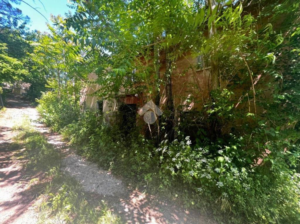 immagine annuncio 8 di 12