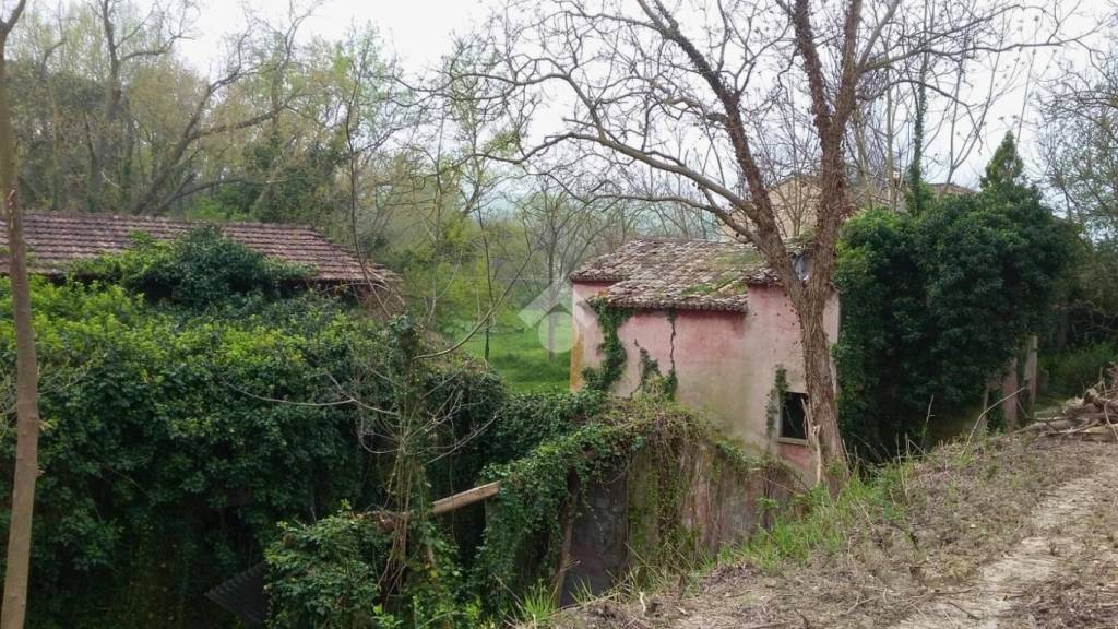 immagine annuncio 9 di 12