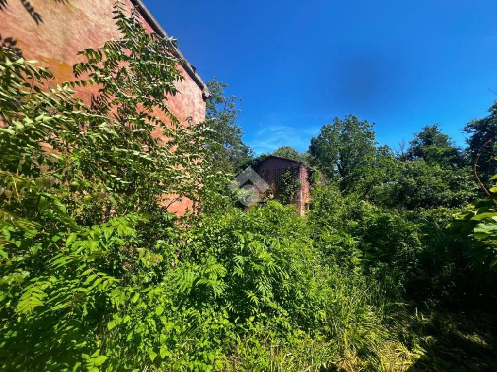 immagine annuncio 10 di 12