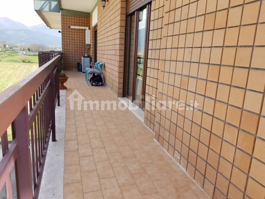 immagine annuncio 12 di 13