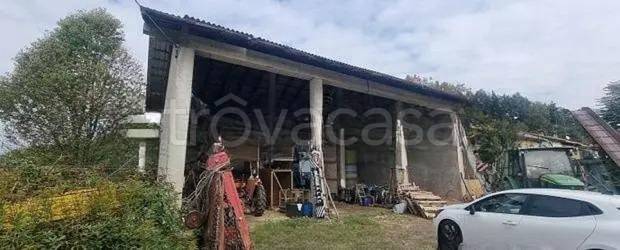 immagine annuncio 6 di 13