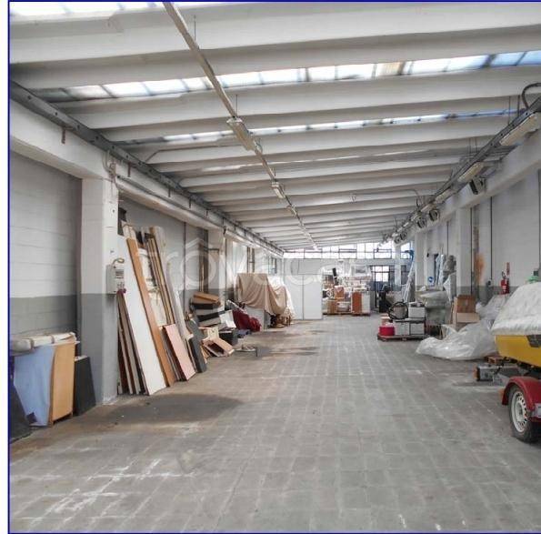 immagine annuncio 8 di 15