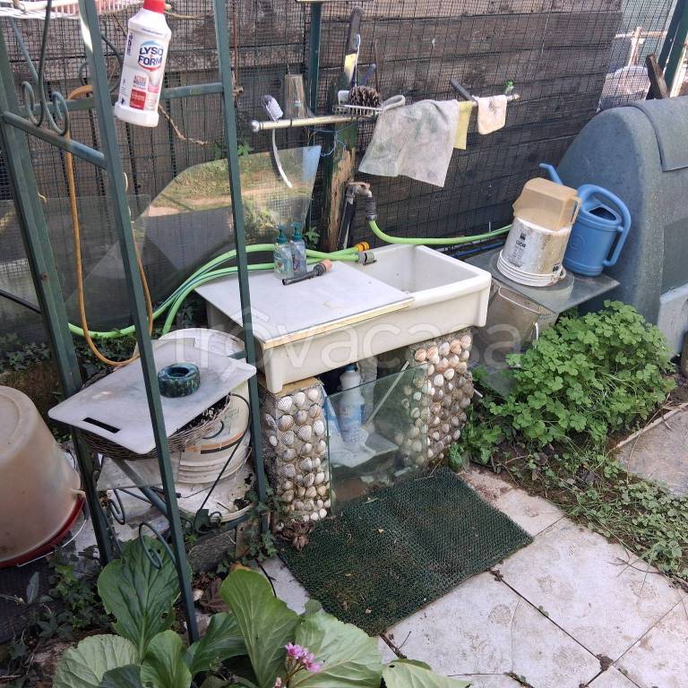 immagine annuncio 9 di 14