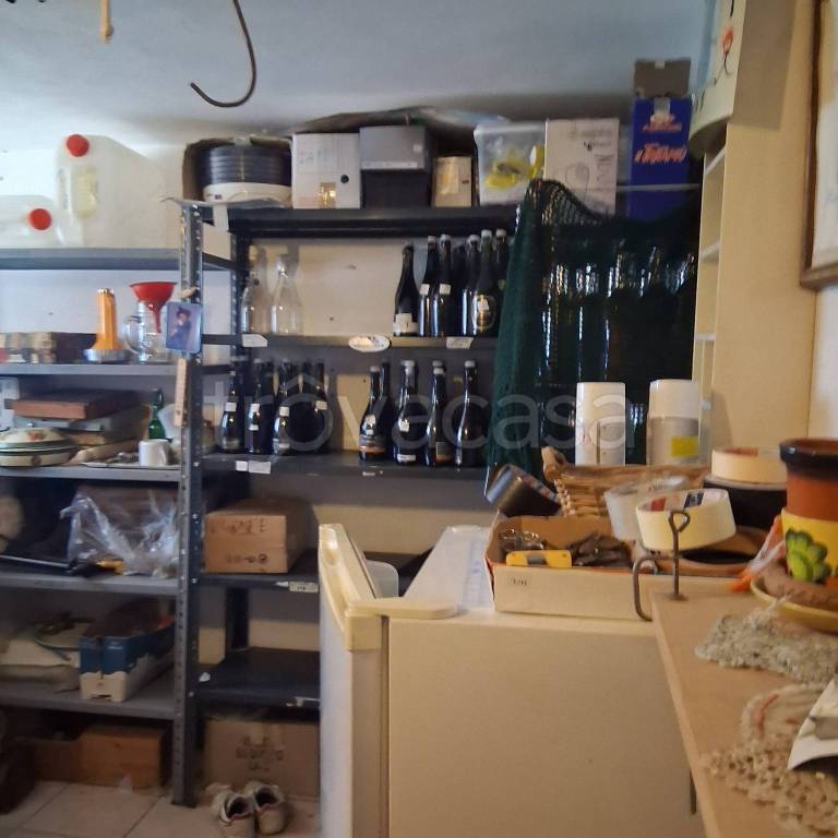 immagine annuncio 11 di 14