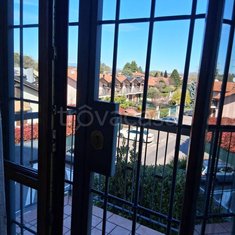 immagine annuncio 12 di 14