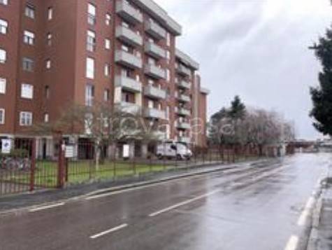 immagine annuncio 4 di 8