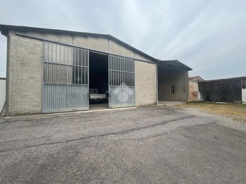 immagine annuncio 1 di 14