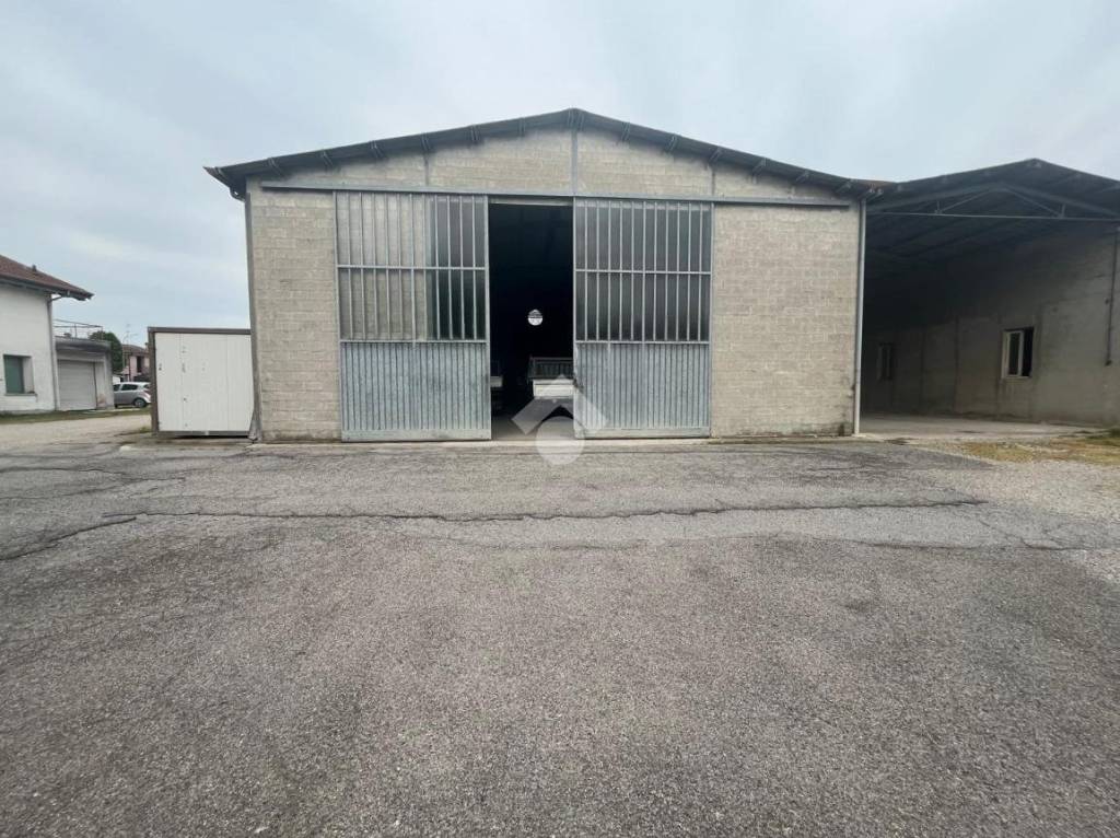 immagine annuncio 2 di 14