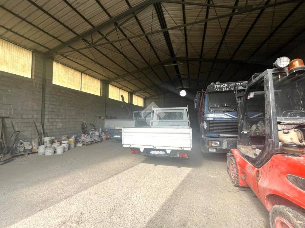 immagine annuncio 3 di 14