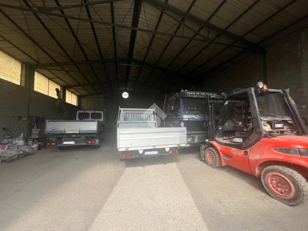 immagine annuncio 4 di 14