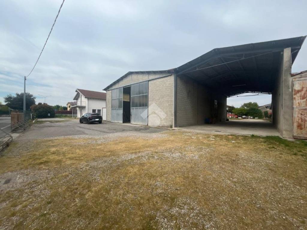 immagine annuncio 5 di 14