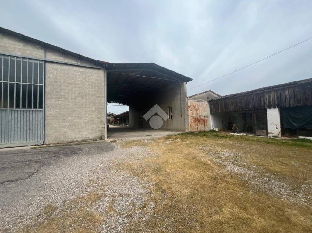 immagine annuncio 6 di 14