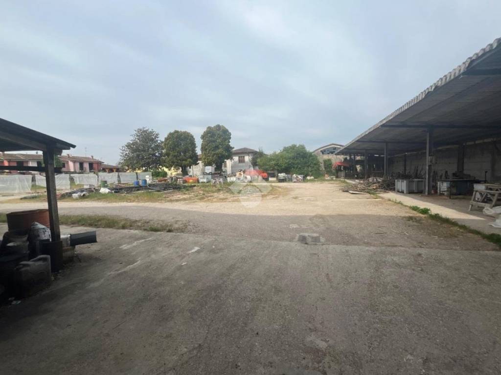 immagine annuncio 9 di 14