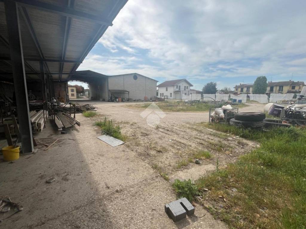 immagine annuncio 10 di 14