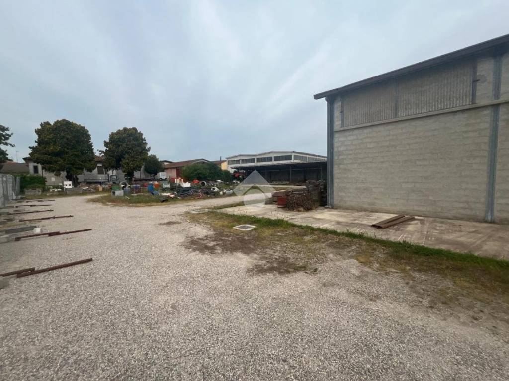 immagine annuncio 11 di 14