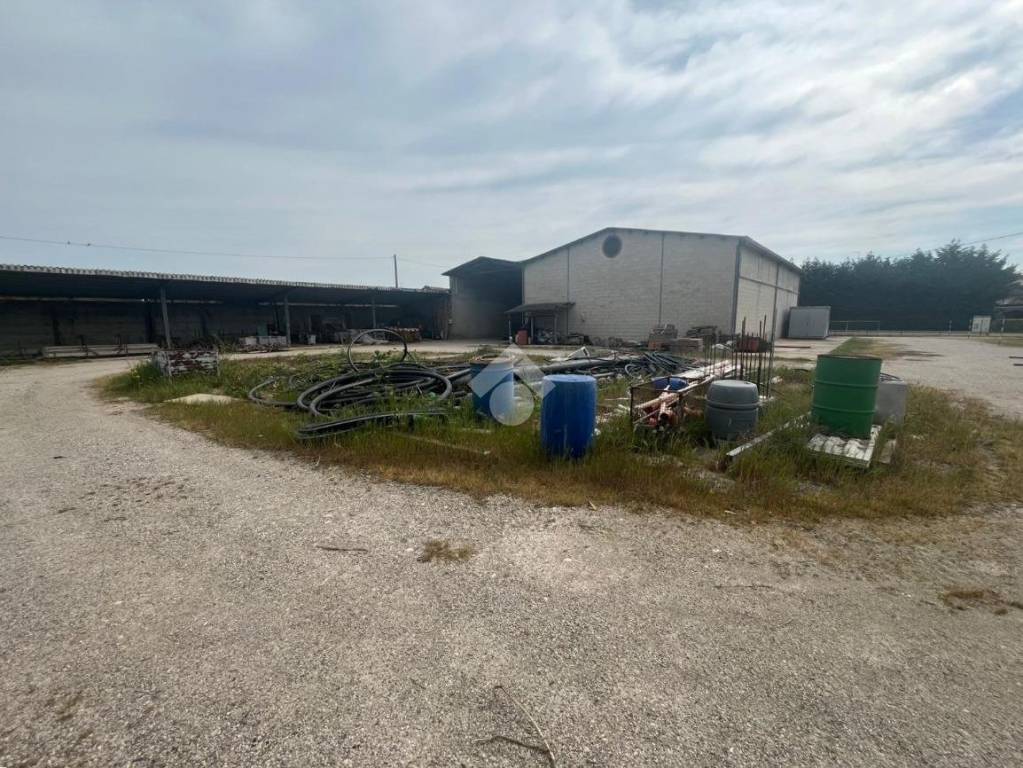 immagine annuncio 12 di 14