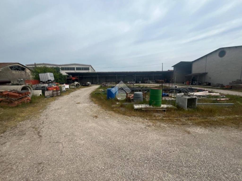 immagine annuncio 13 di 14