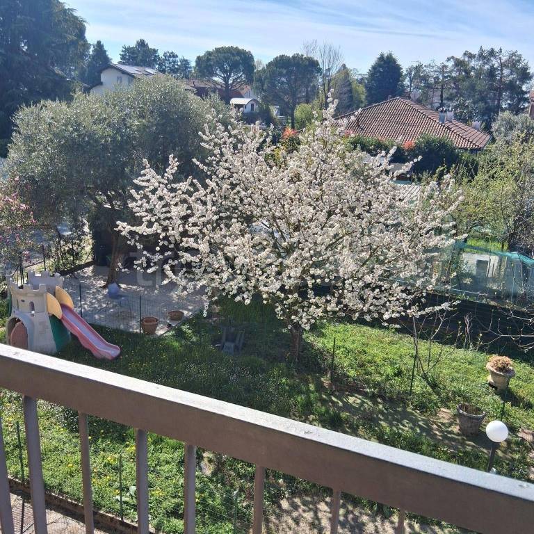 immagine annuncio 2 di 14