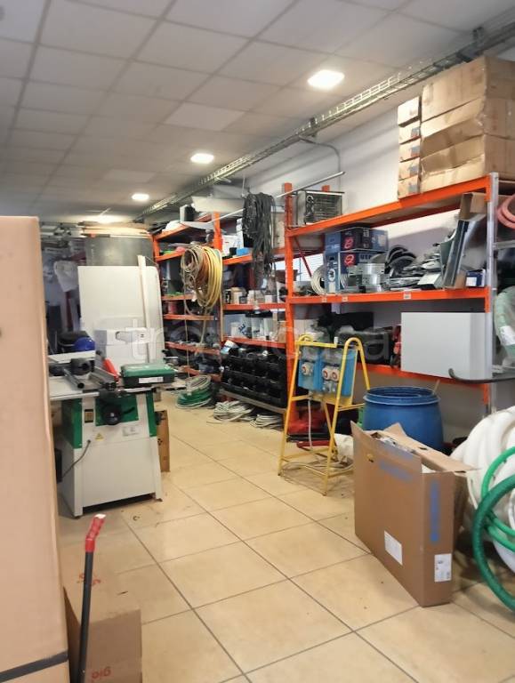 immagine annuncio 9 di 15