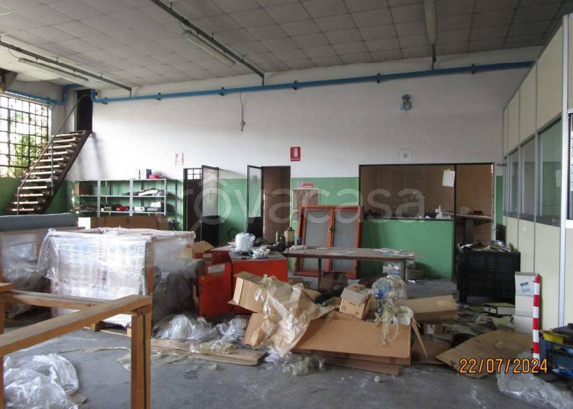 immagine annuncio 8 di 15