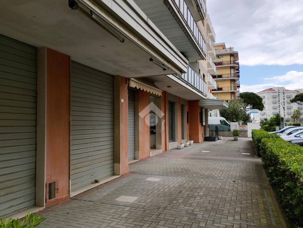 immagine annuncio 8 di 12