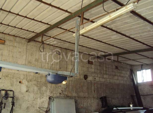 immagine annuncio 8 di 14