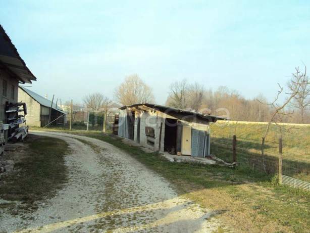 immagine annuncio 9 di 14