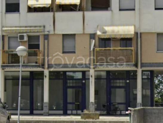 immagine annuncio 1 di 8