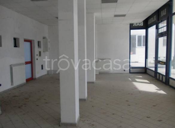 immagine annuncio 3 di 8