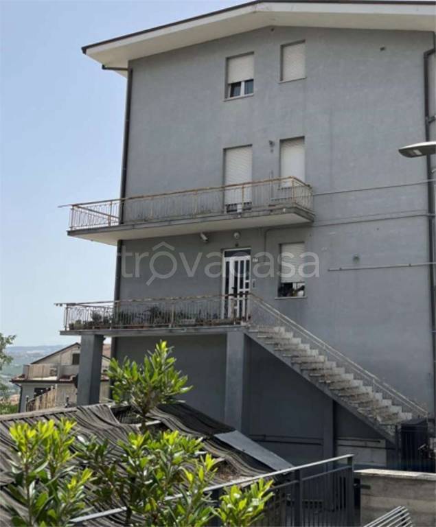 immagine annuncio 2 di 12