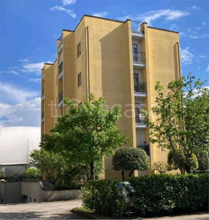 immagine annuncio 1 di 14