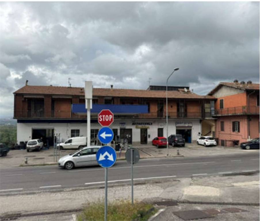 immagine annuncio 4 di 14