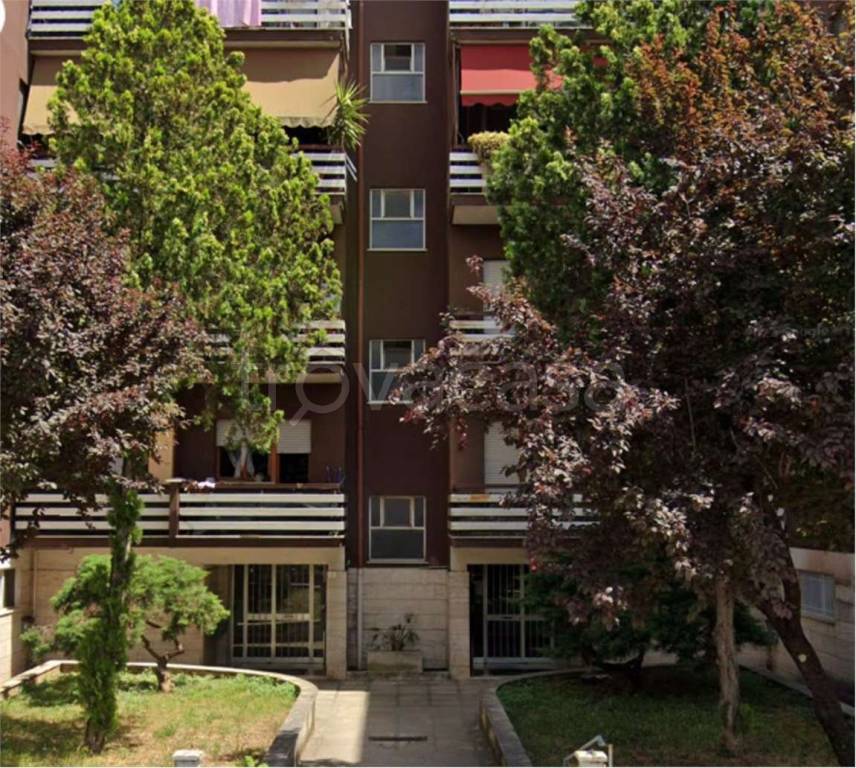 immagine annuncio 5 di 14