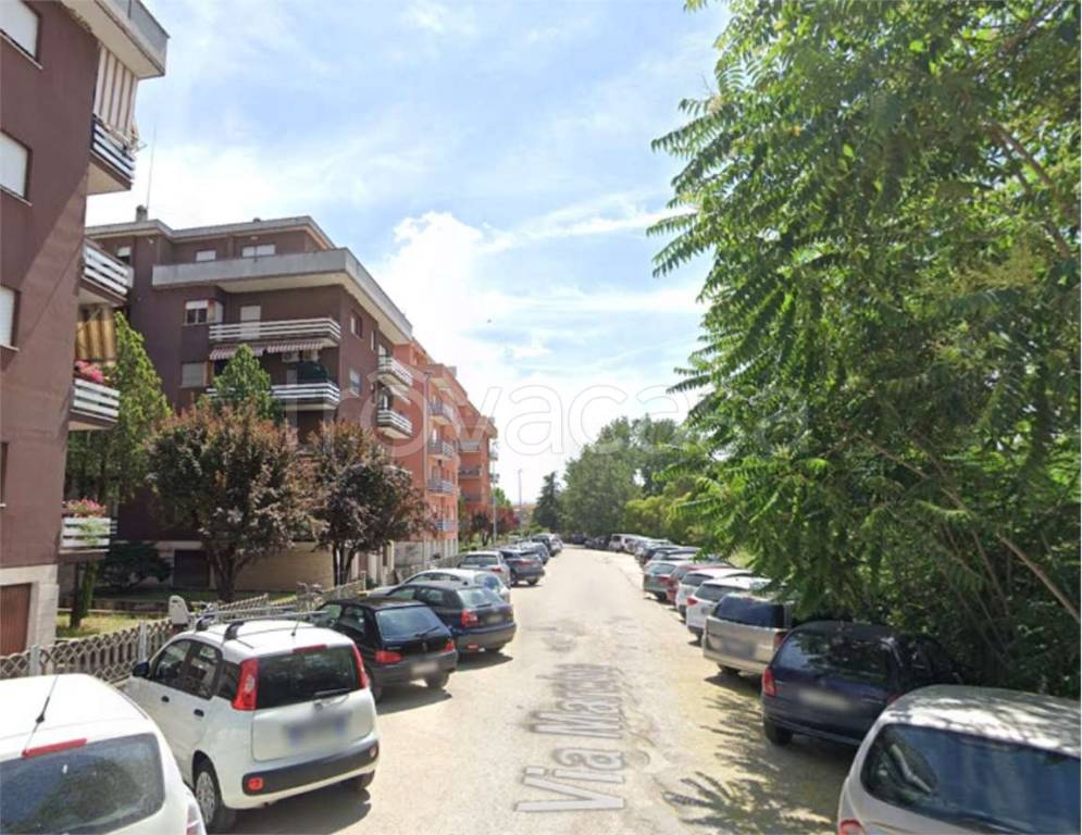 immagine annuncio 9 di 14