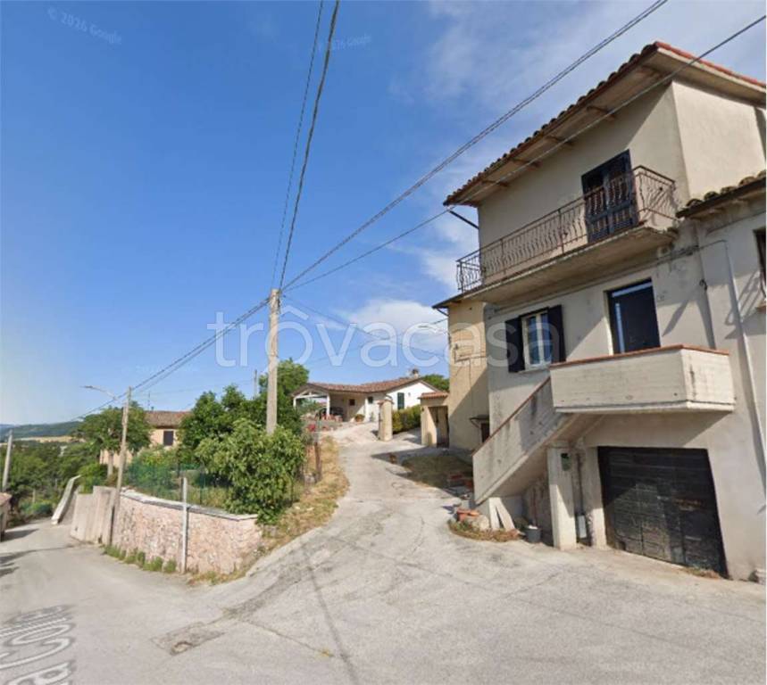 immagine annuncio 9 di 13