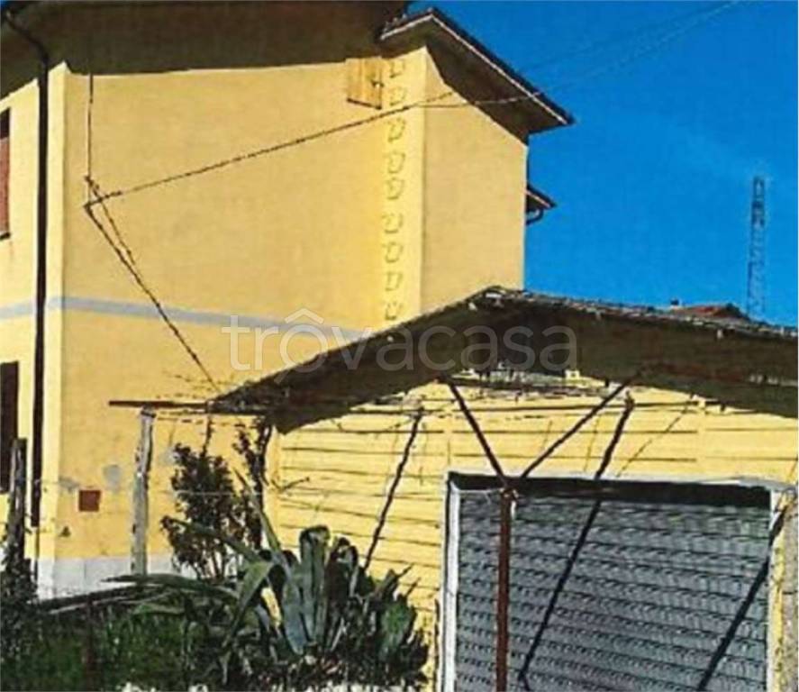 immagine annuncio 3 di 11