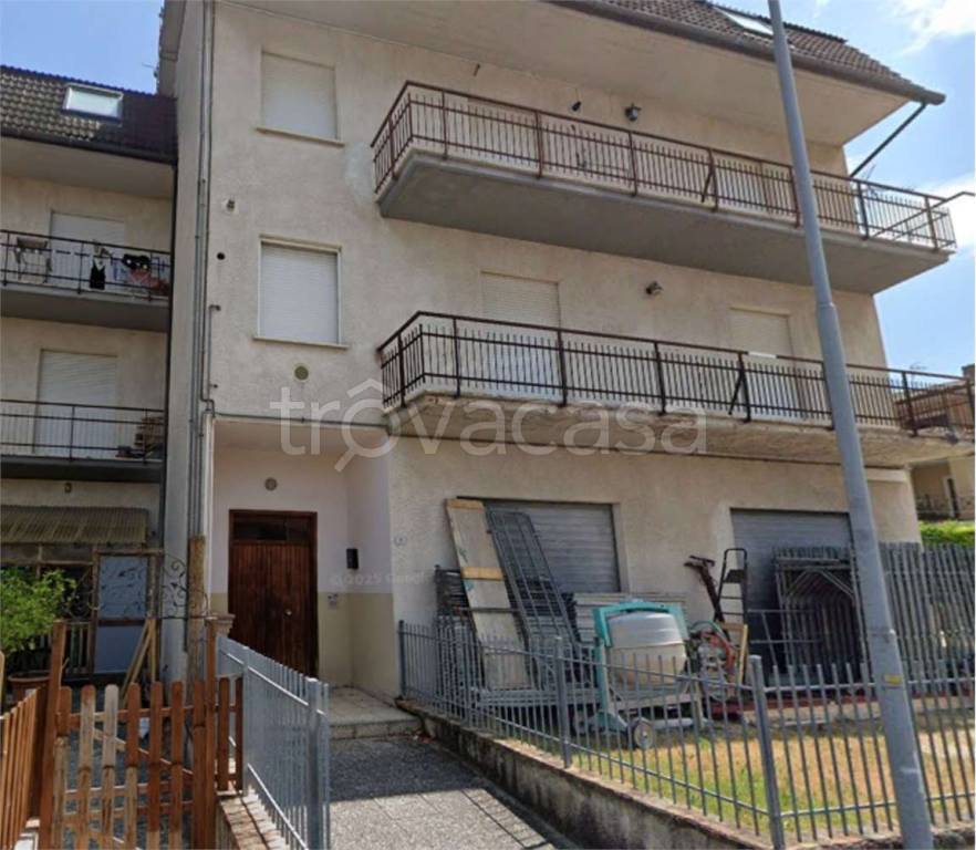 immagine annuncio 5 di 14