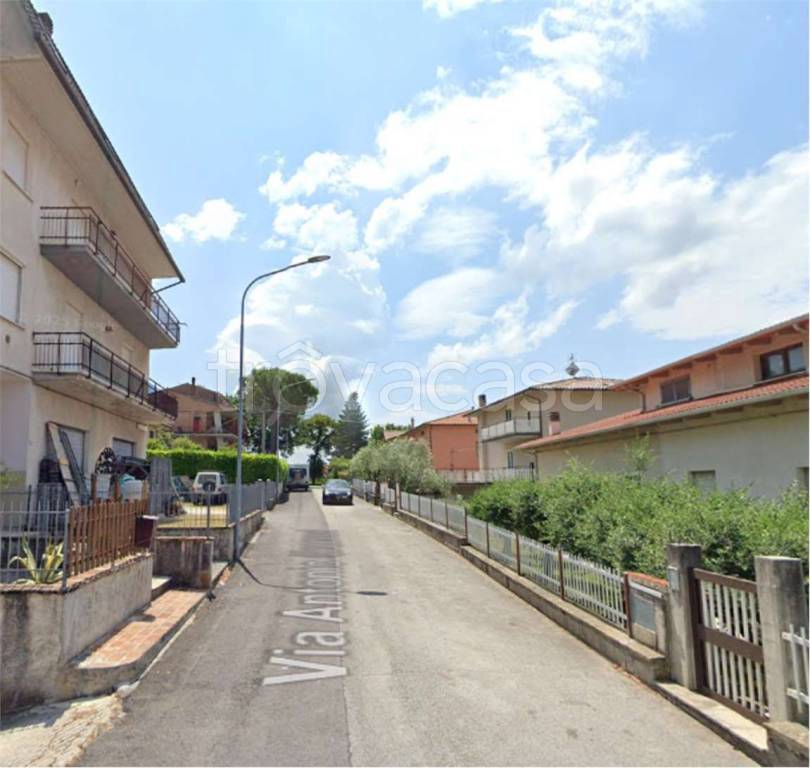 immagine annuncio 10 di 14