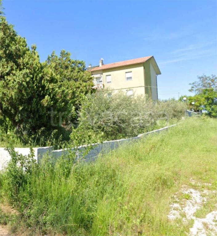 immagine annuncio 3 di 12