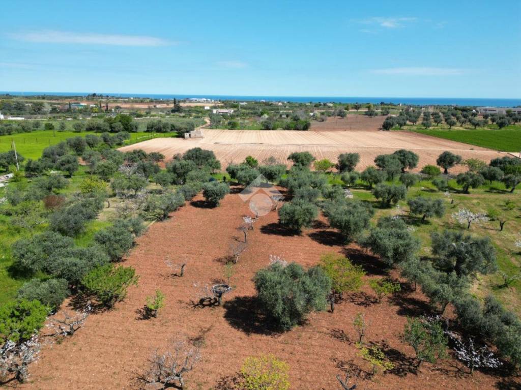 immagine annuncio 2 di 8