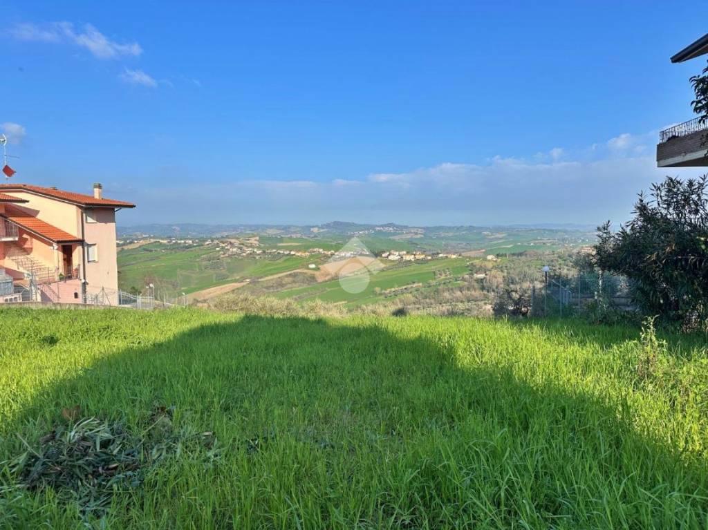 immagine annuncio 2 di 12