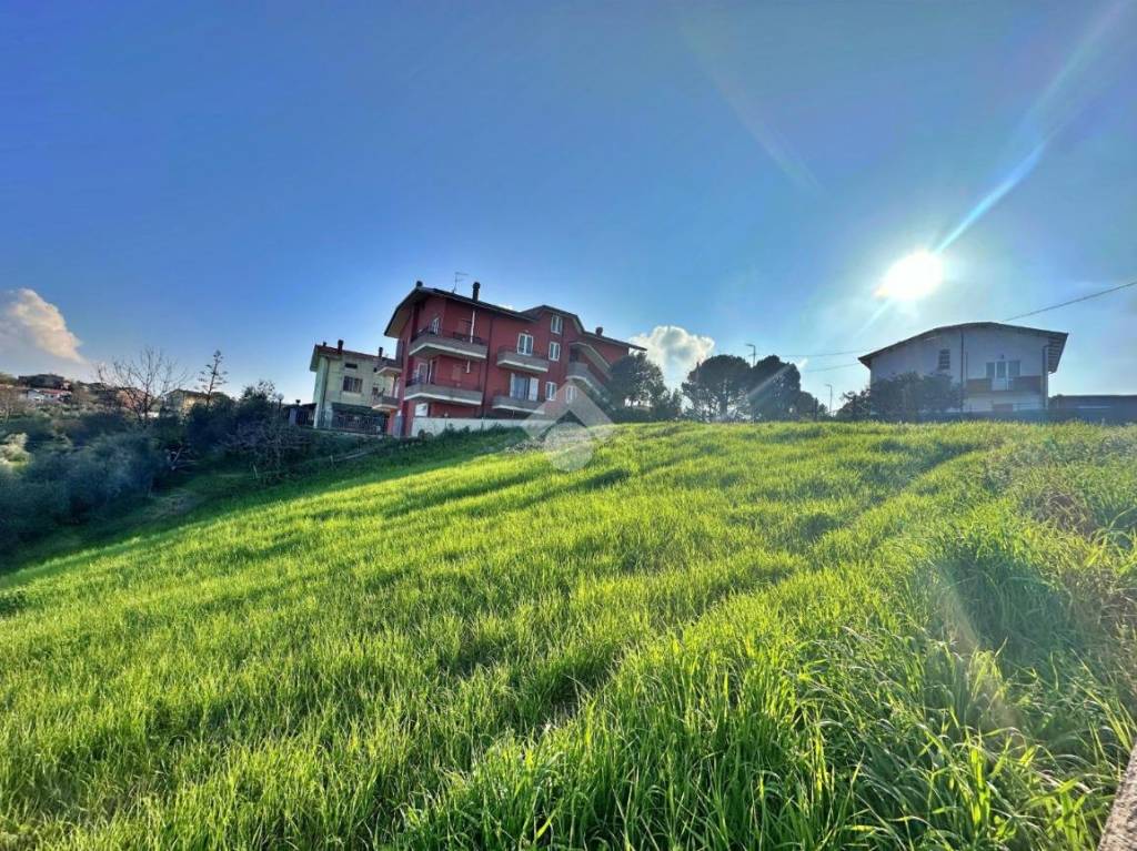 immagine annuncio 4 di 12