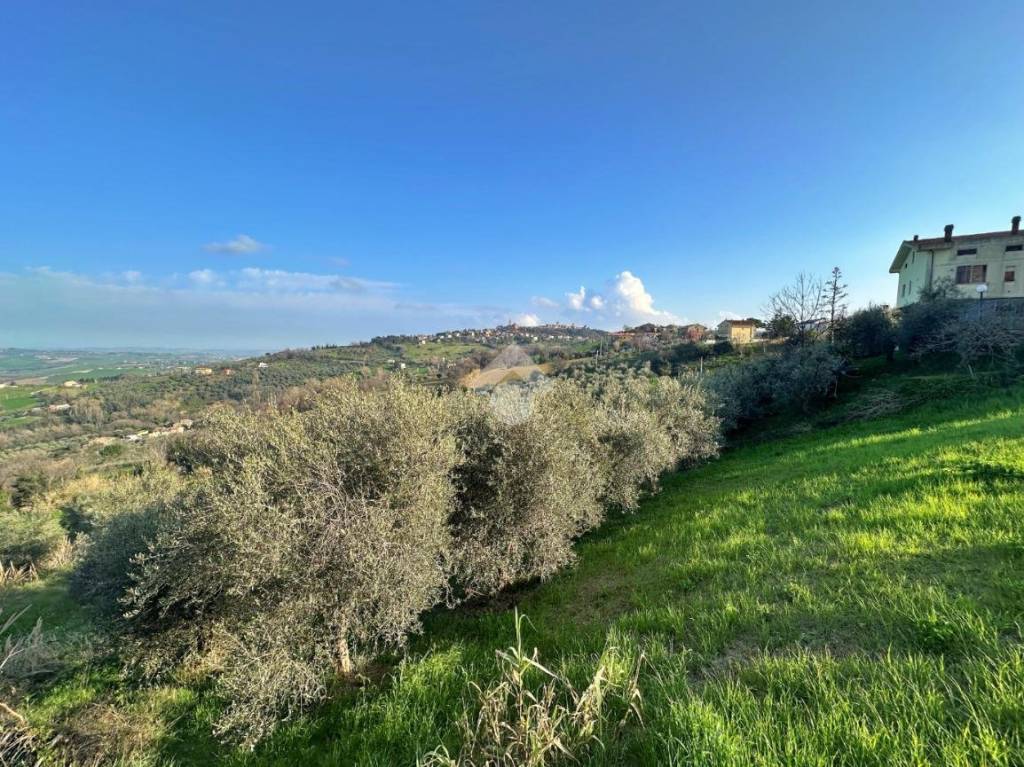 immagine annuncio 5 di 12