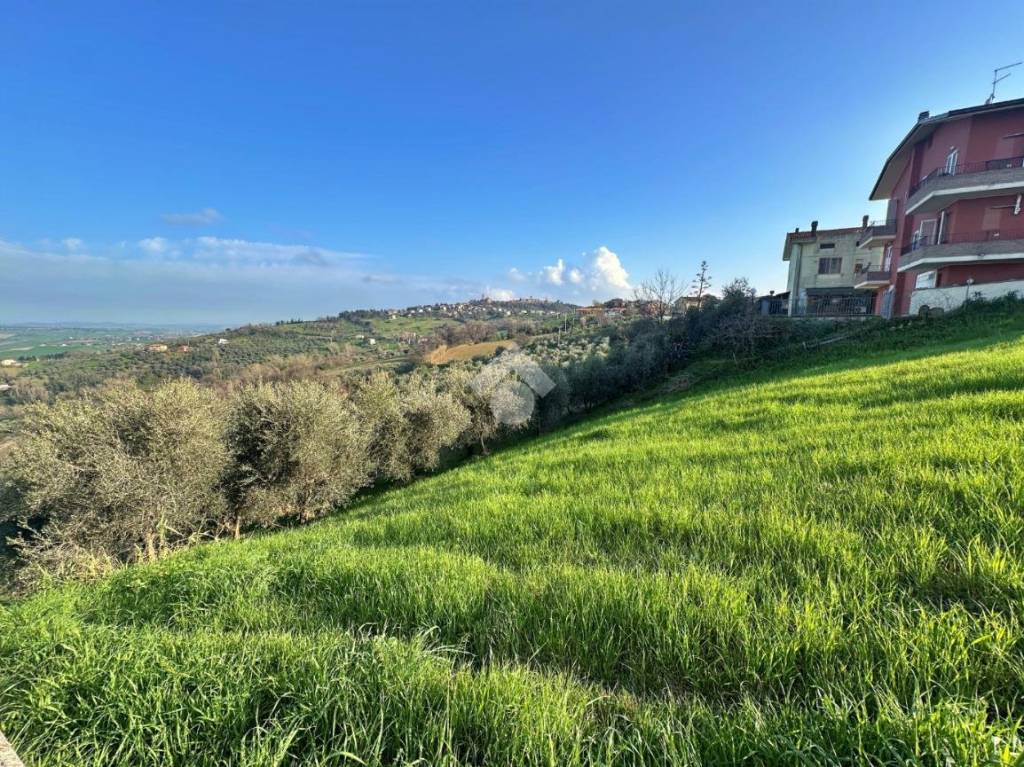 immagine annuncio 6 di 12