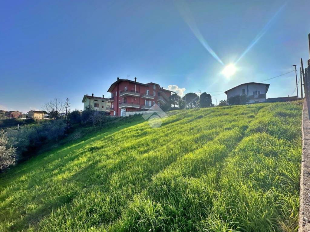 immagine annuncio 7 di 12