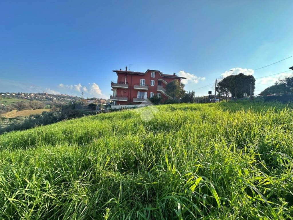 immagine annuncio 9 di 12