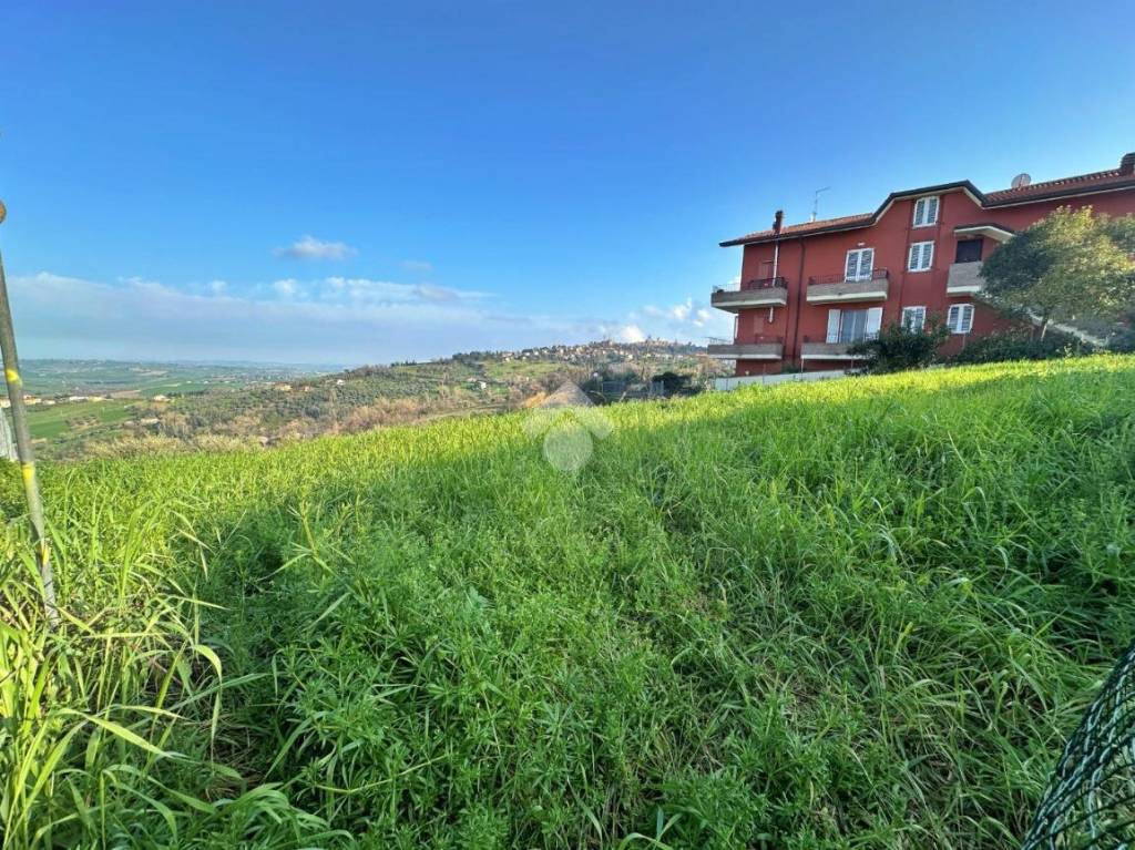 immagine annuncio 10 di 12