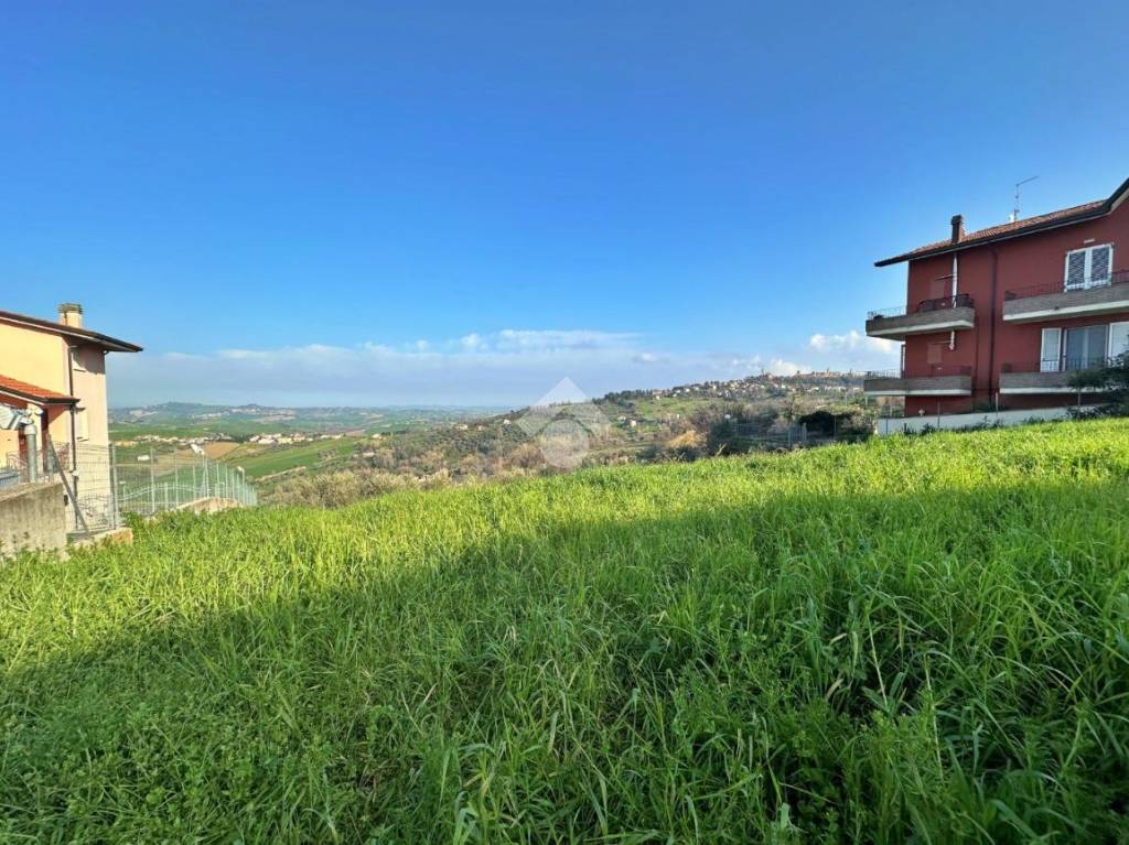 immagine annuncio 11 di 12