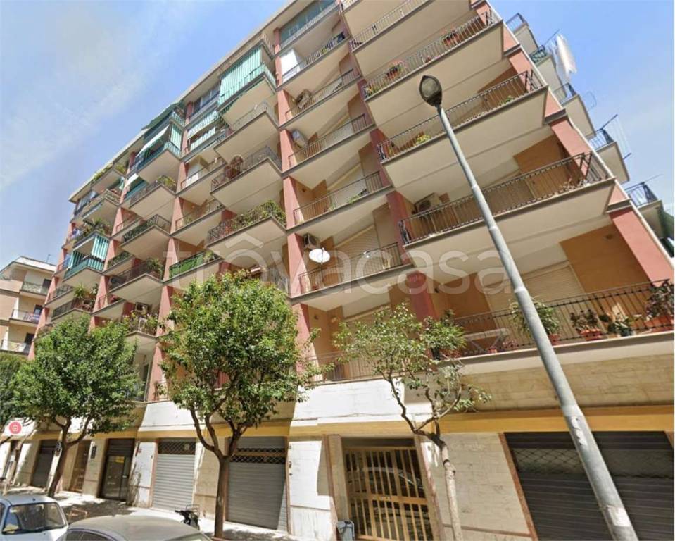 immagine annuncio 4 di 11